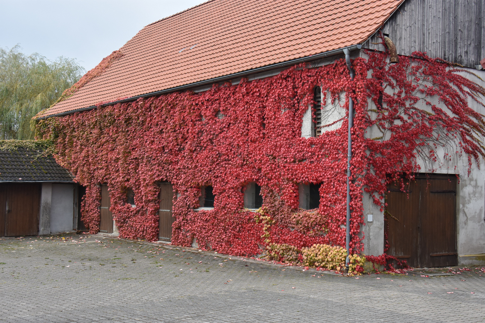 Herbstschmuck