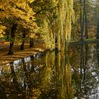 Herbstschmuck