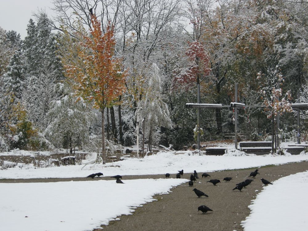 Herbstschnee