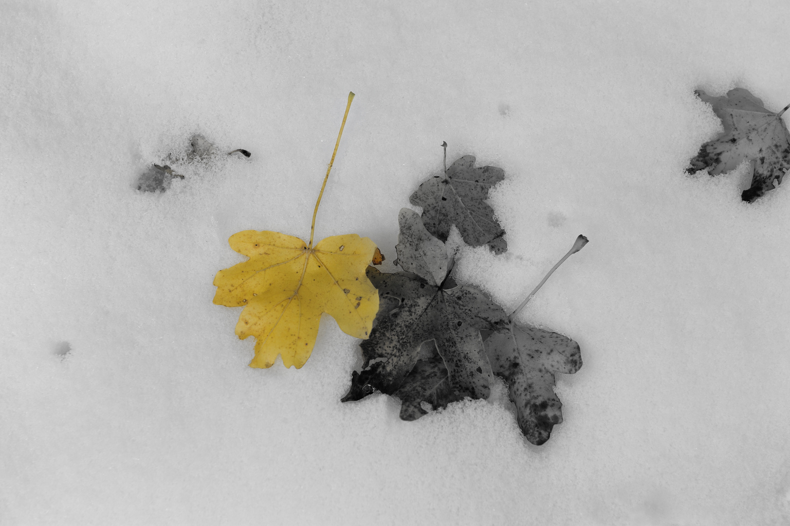 Herbstschnee