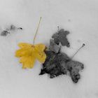 Herbstschnee