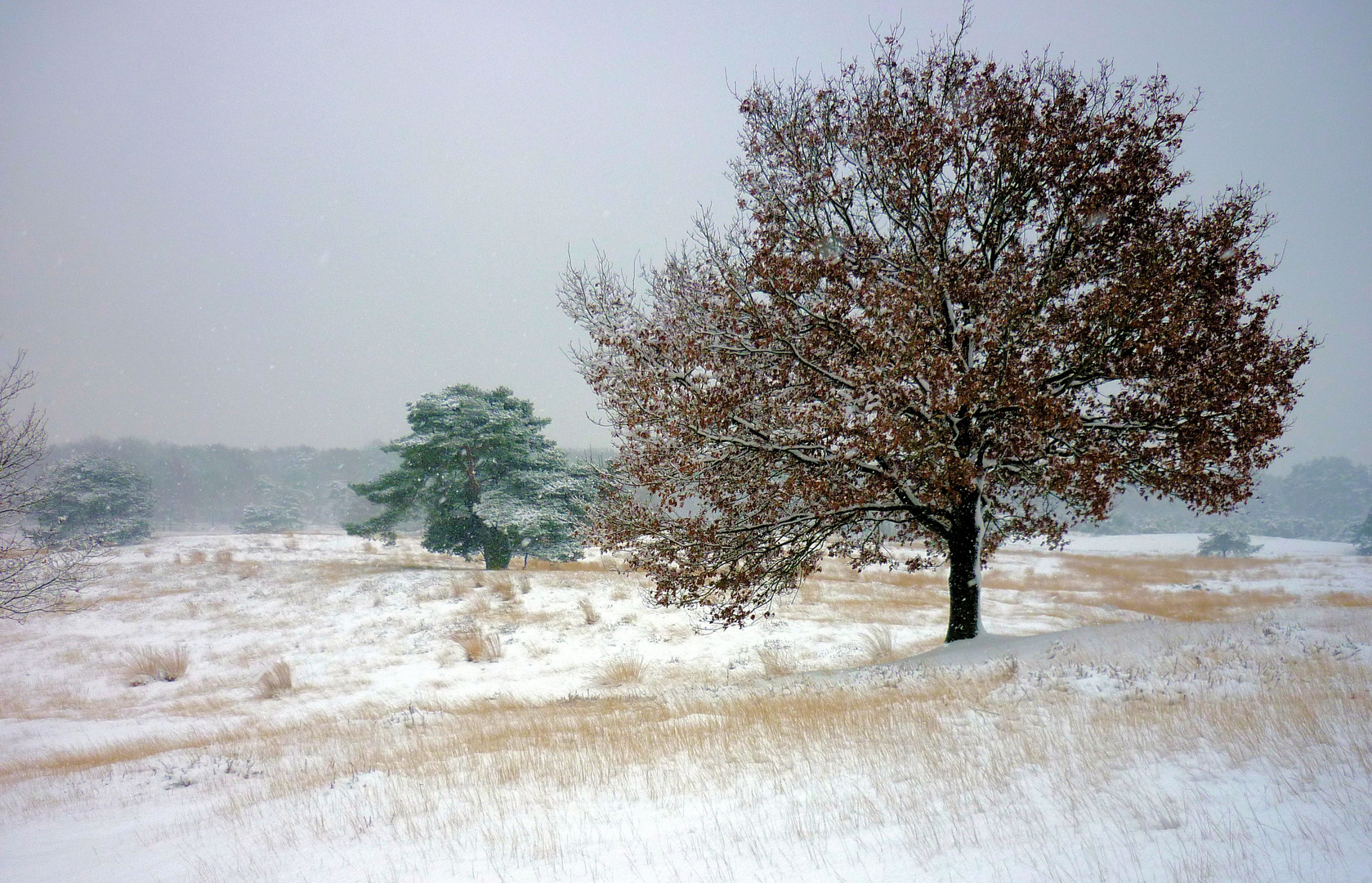 Herbstschnee