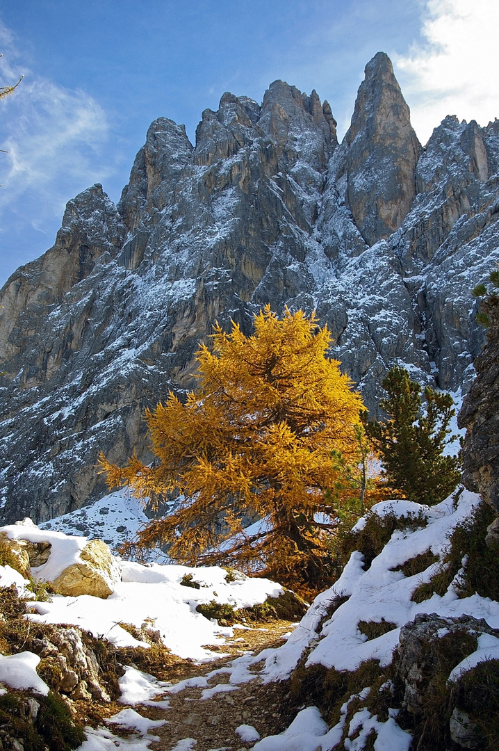 Herbstschnee am Langkofel