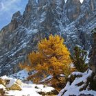 Herbstschnee am Langkofel