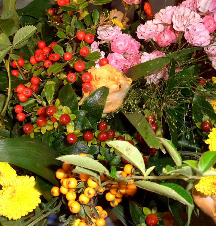 Herbst...schön und wunderbar