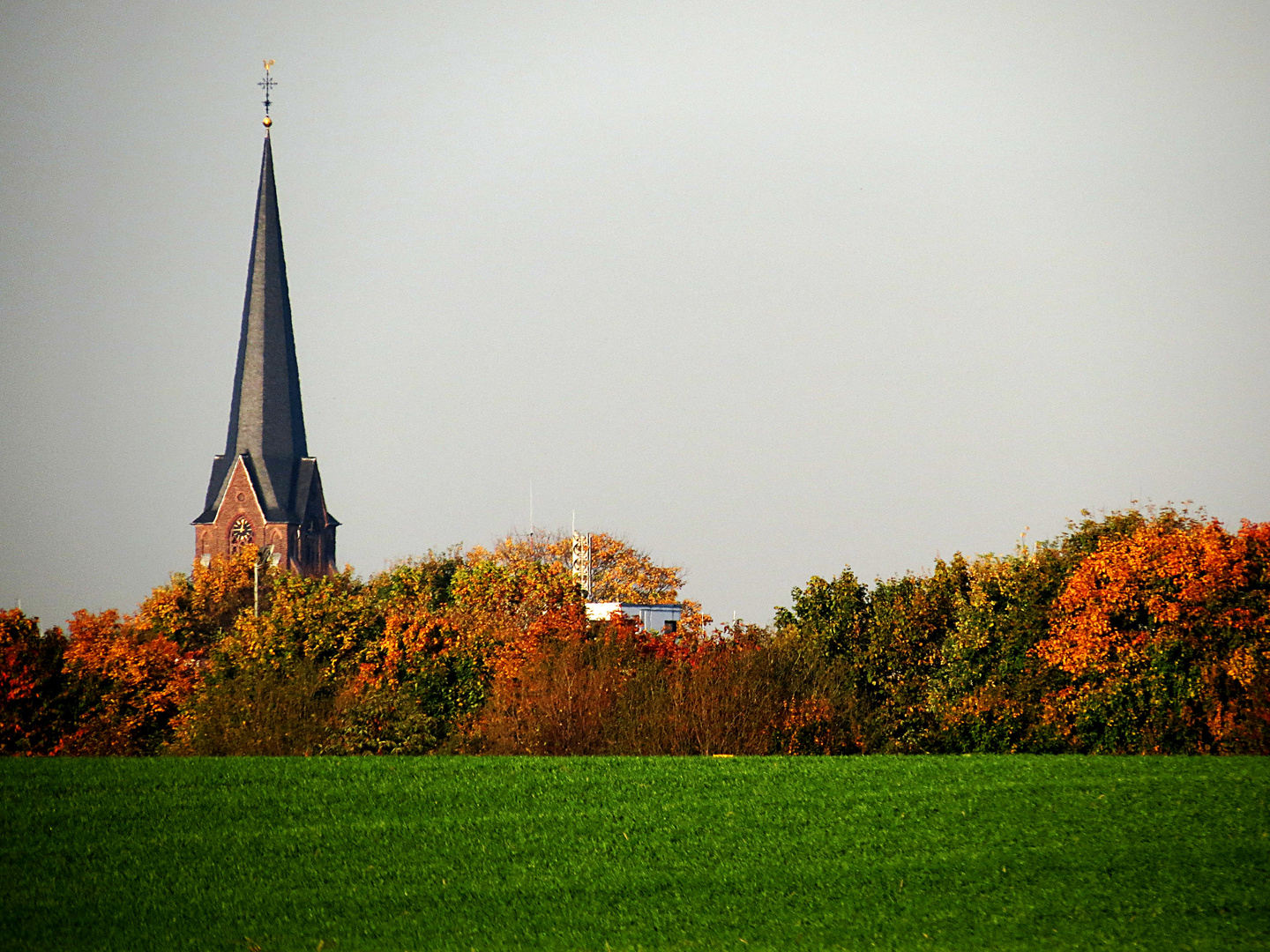 Herbstschönheit