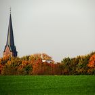 Herbstschönheit