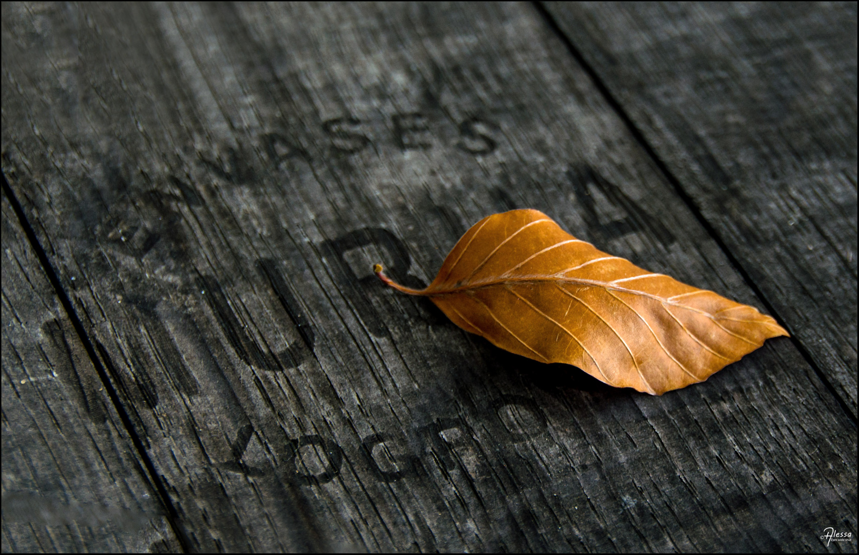 Herbstschönheit