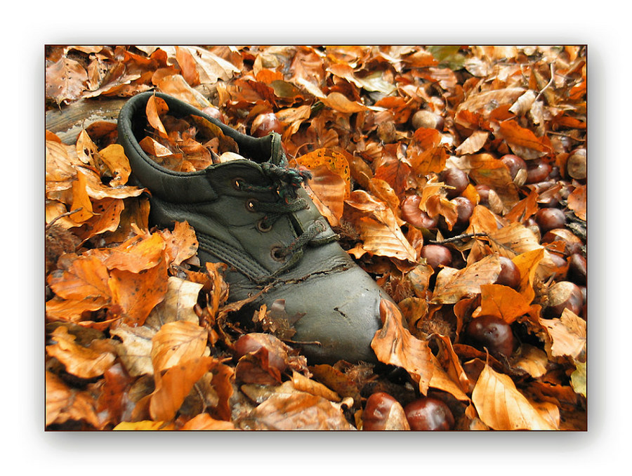 "Herbstschuh "