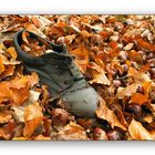 "Herbstschuh "