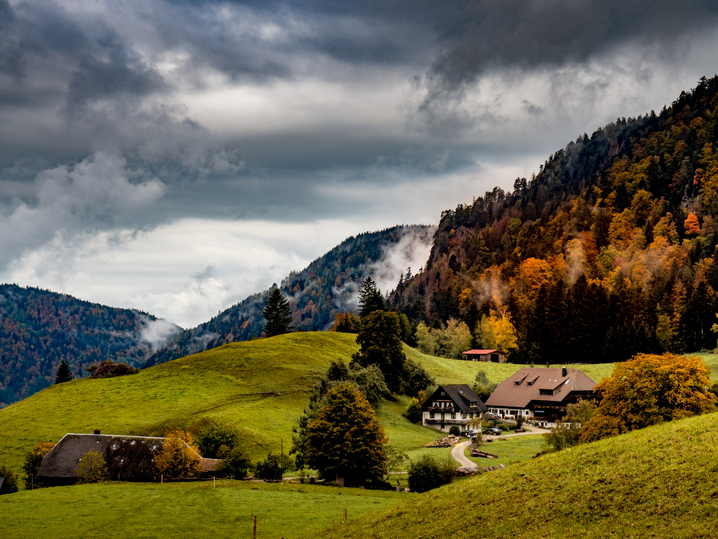 Herbstschwarzwald