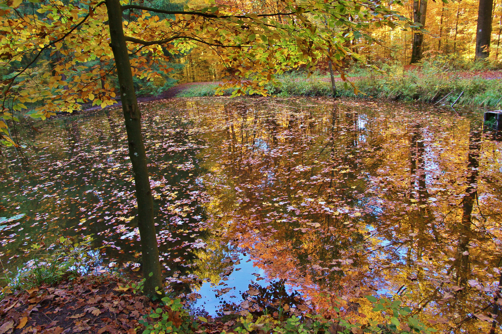 Herbstsee