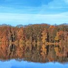 Herbstsee in Duisburg