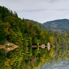 herbstseespiegelung..verdreht