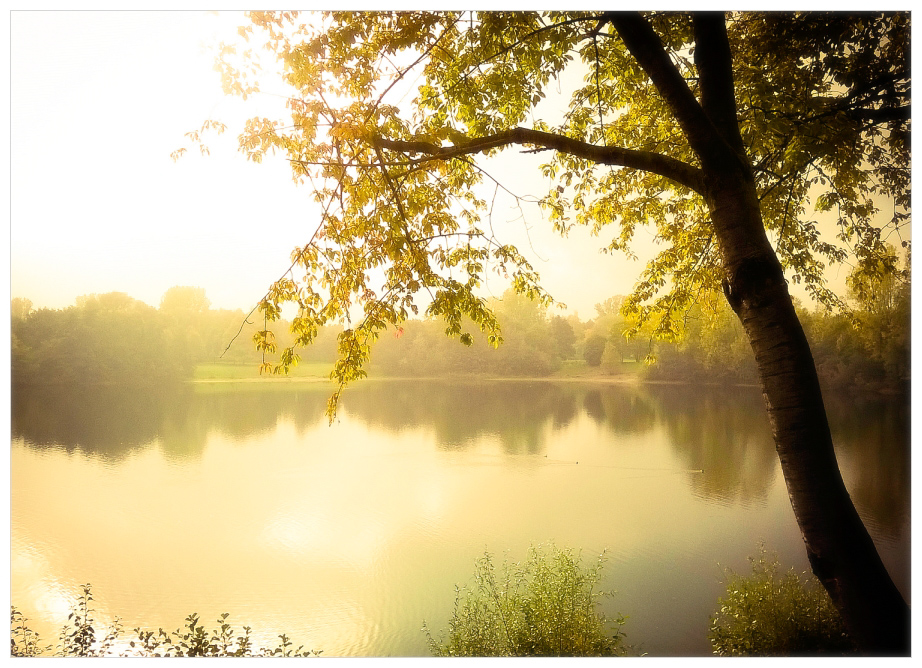 *** Herbstseeträumerei ... ***