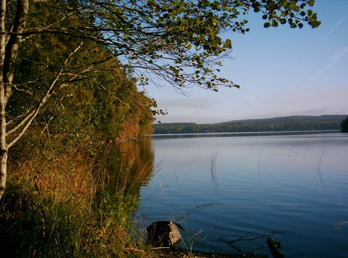 Herbstsehnsucht