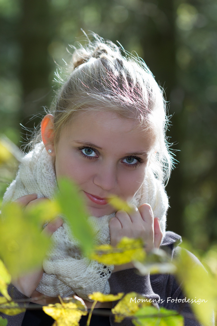 Herbstshooting goldener Oktober