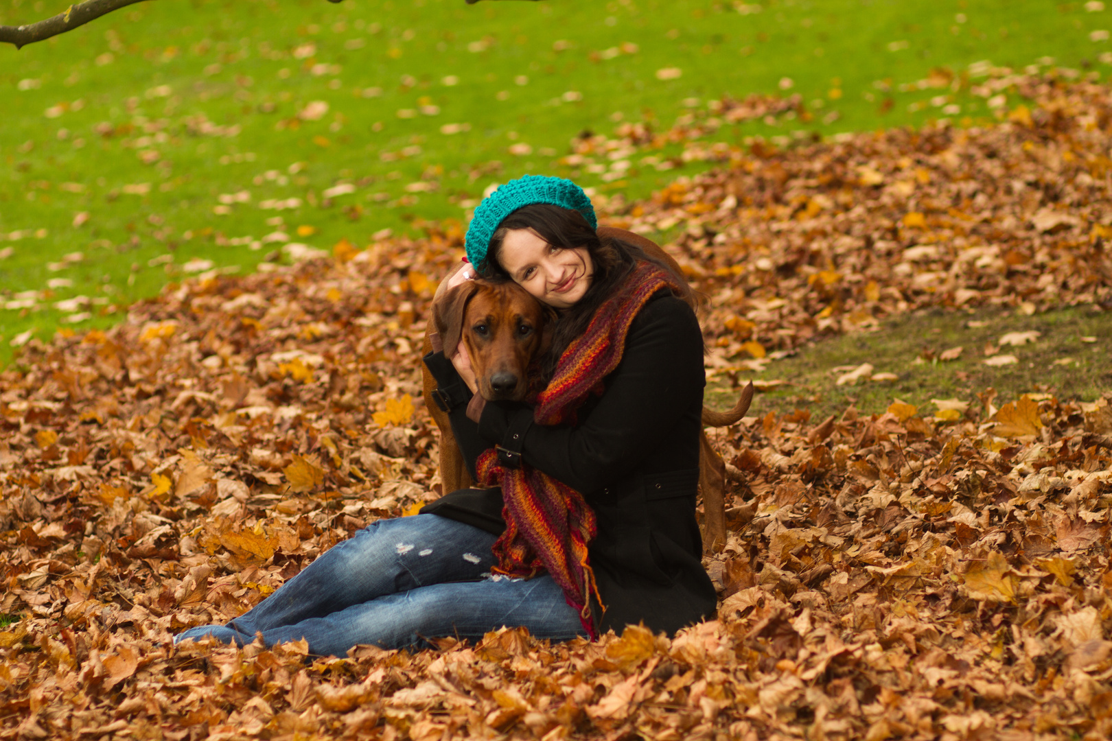 Herbstshooting im Rombergpark mit Fotograf wotkerolf und meinem Hund Tom