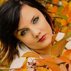 Herbstshooting Part 2