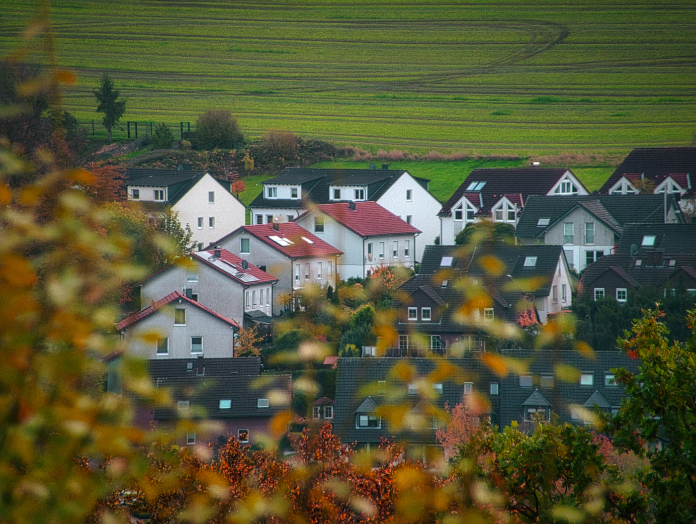 Herbstsiedlung