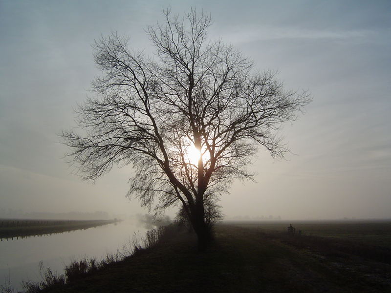 Herbstsimmung bei Worpswede (Niedersachsen)