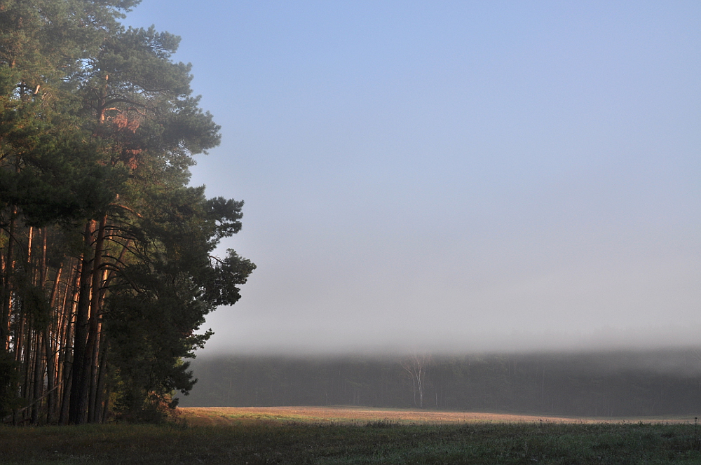 Herbstsimmung