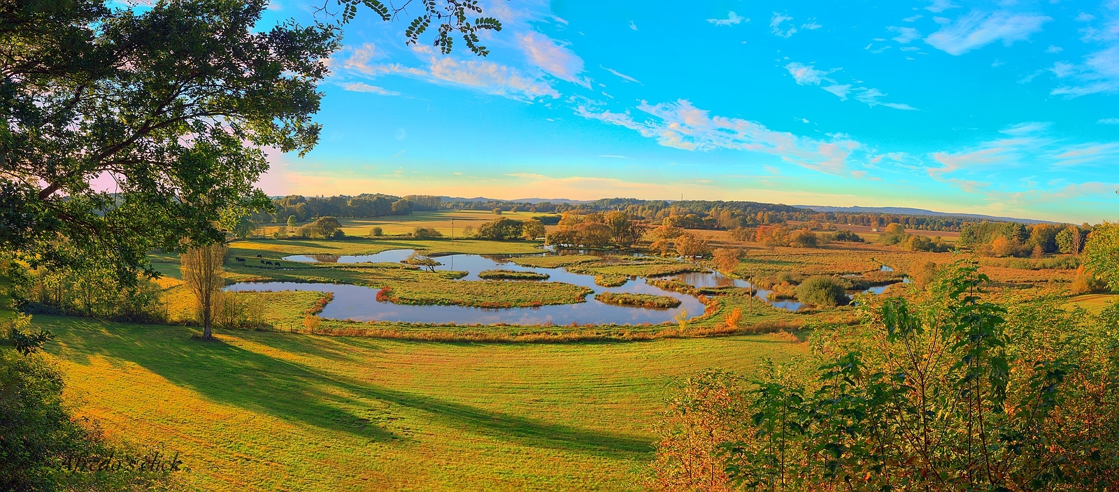 Herbstsinfonie am Beedener Biotop -Panorama