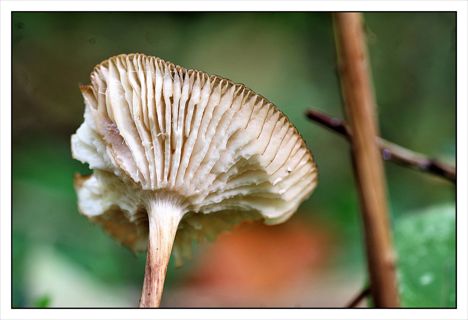 Herbstskulptur