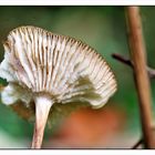 Herbstskulptur