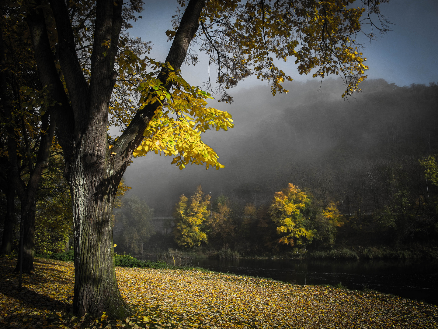 Herbstsonne