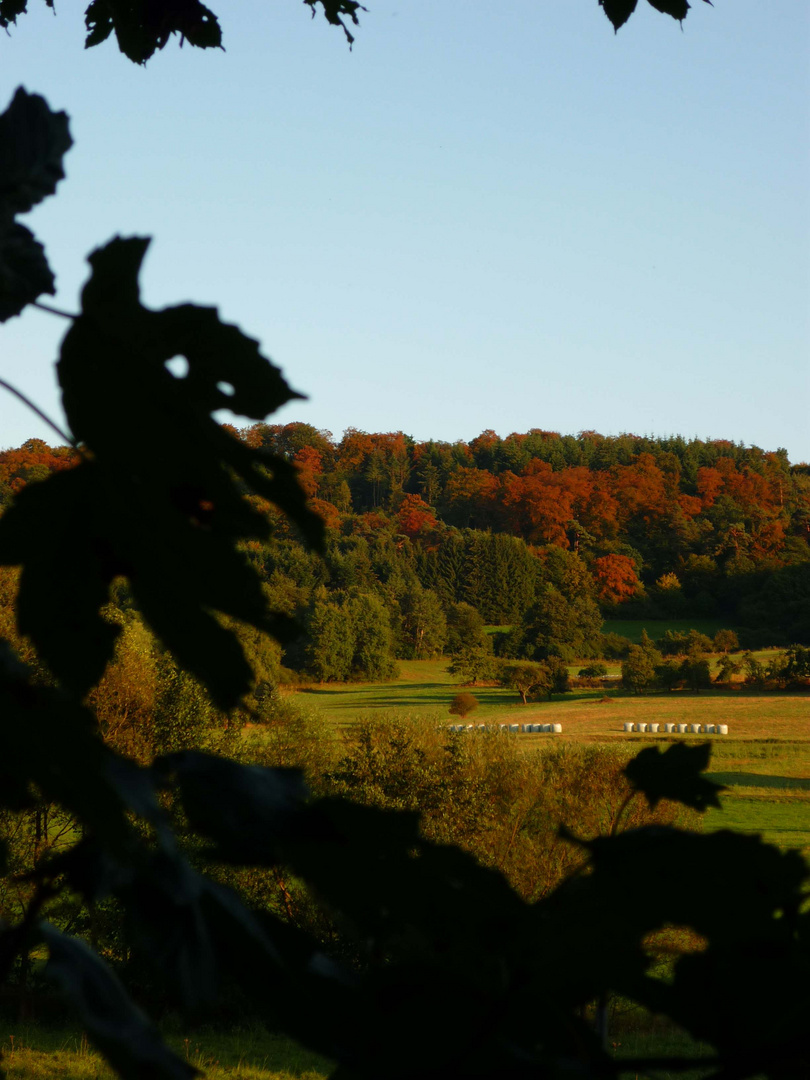 Herbstsonne