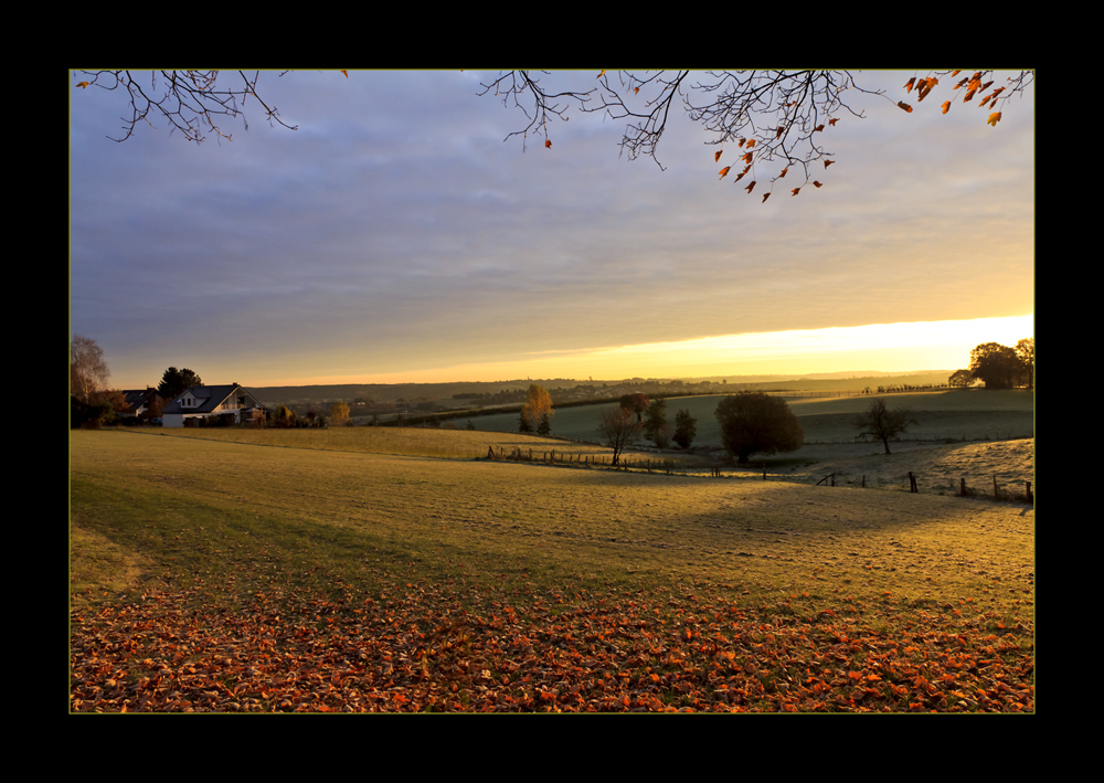 Herbstsonne #1