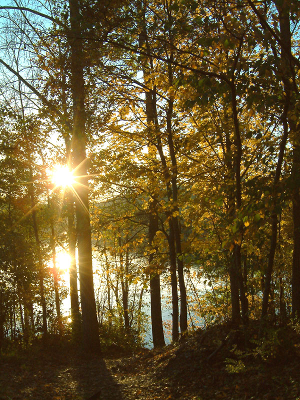 Herbstsonne