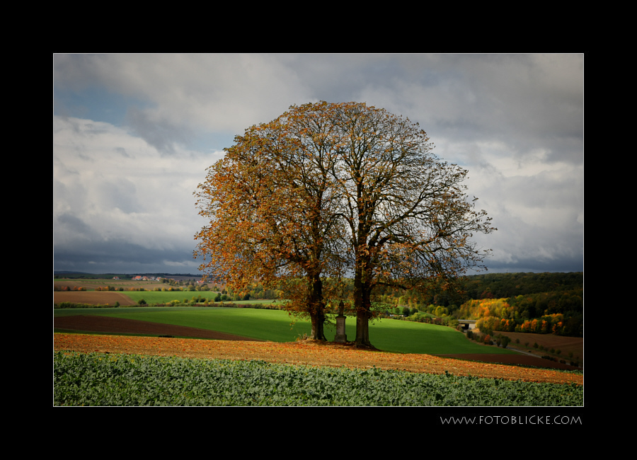 HerbstSonne