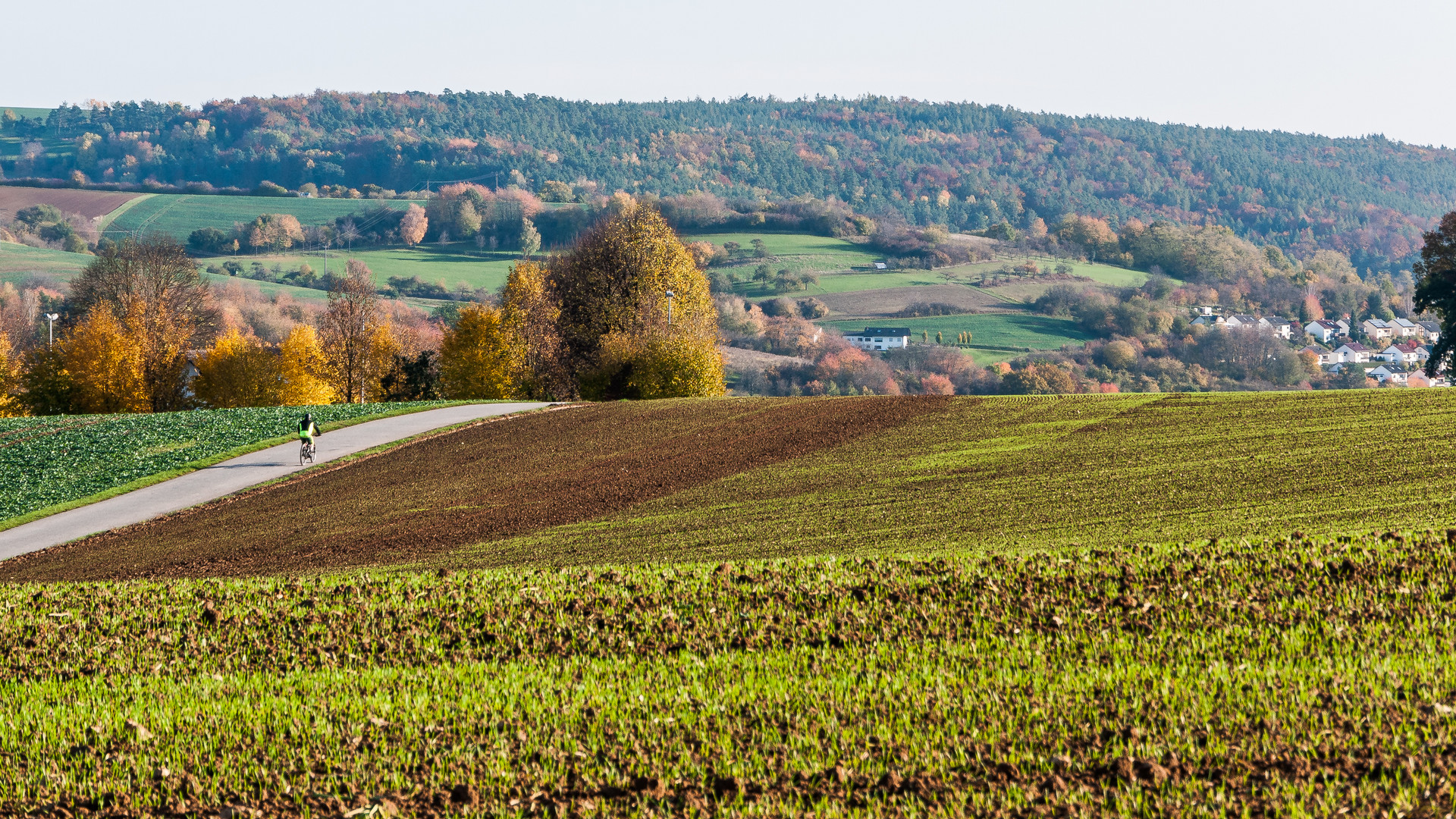 Herbstsonne 196