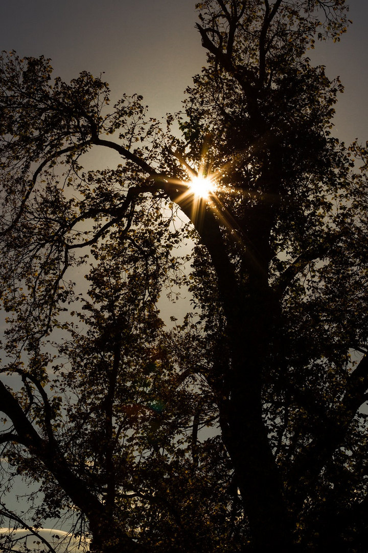 Herbstsonne