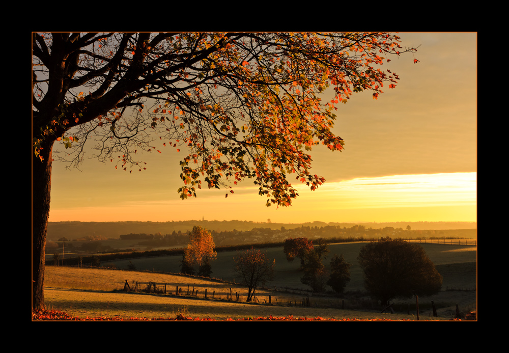 Herbstsonne #2