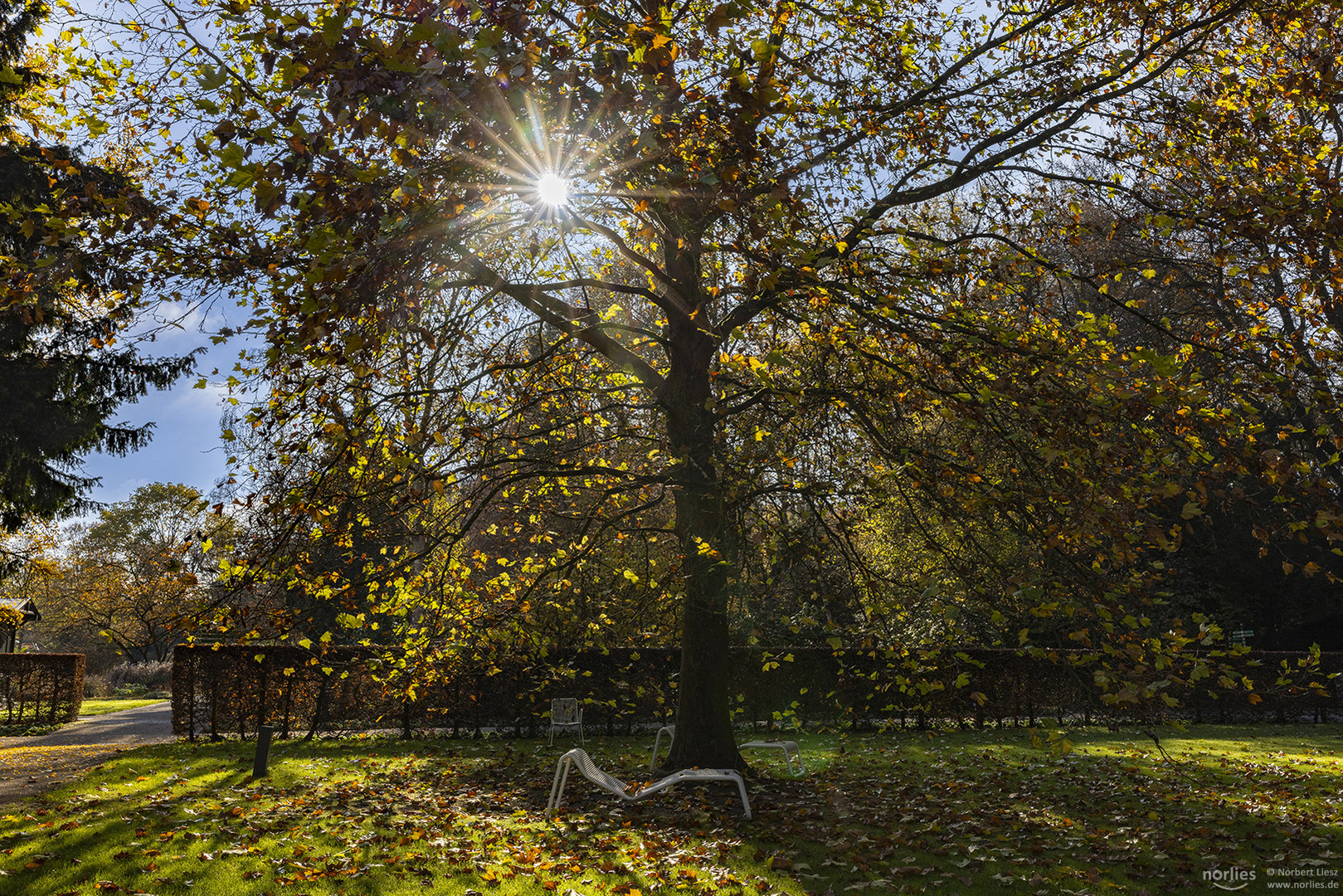 Herbstsonne