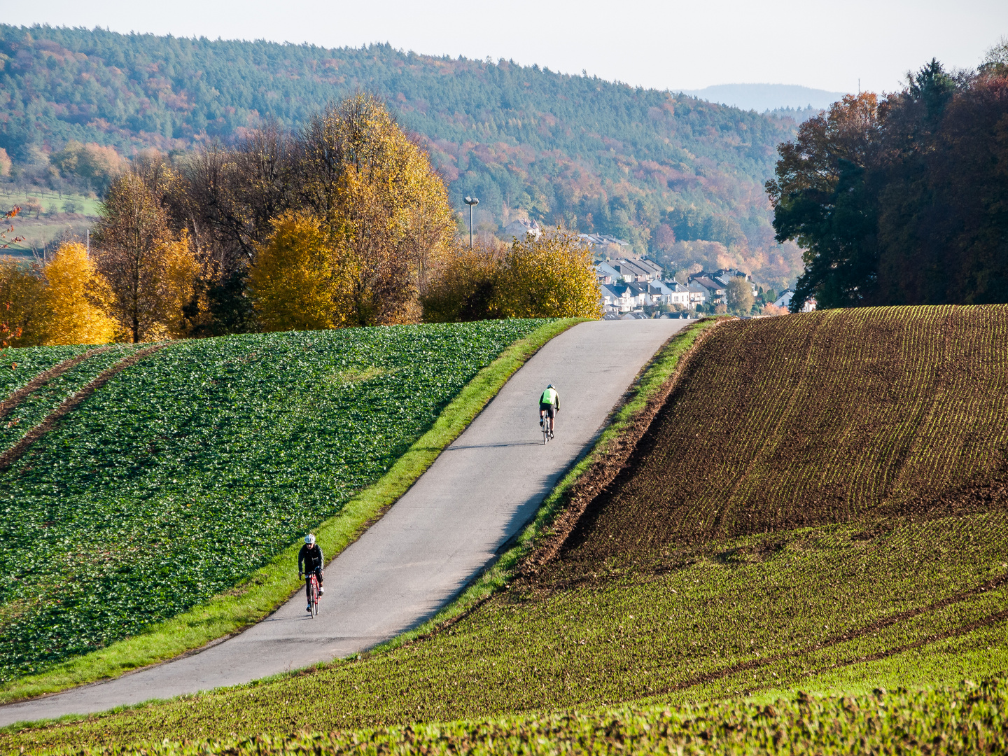 Herbstsonne 216