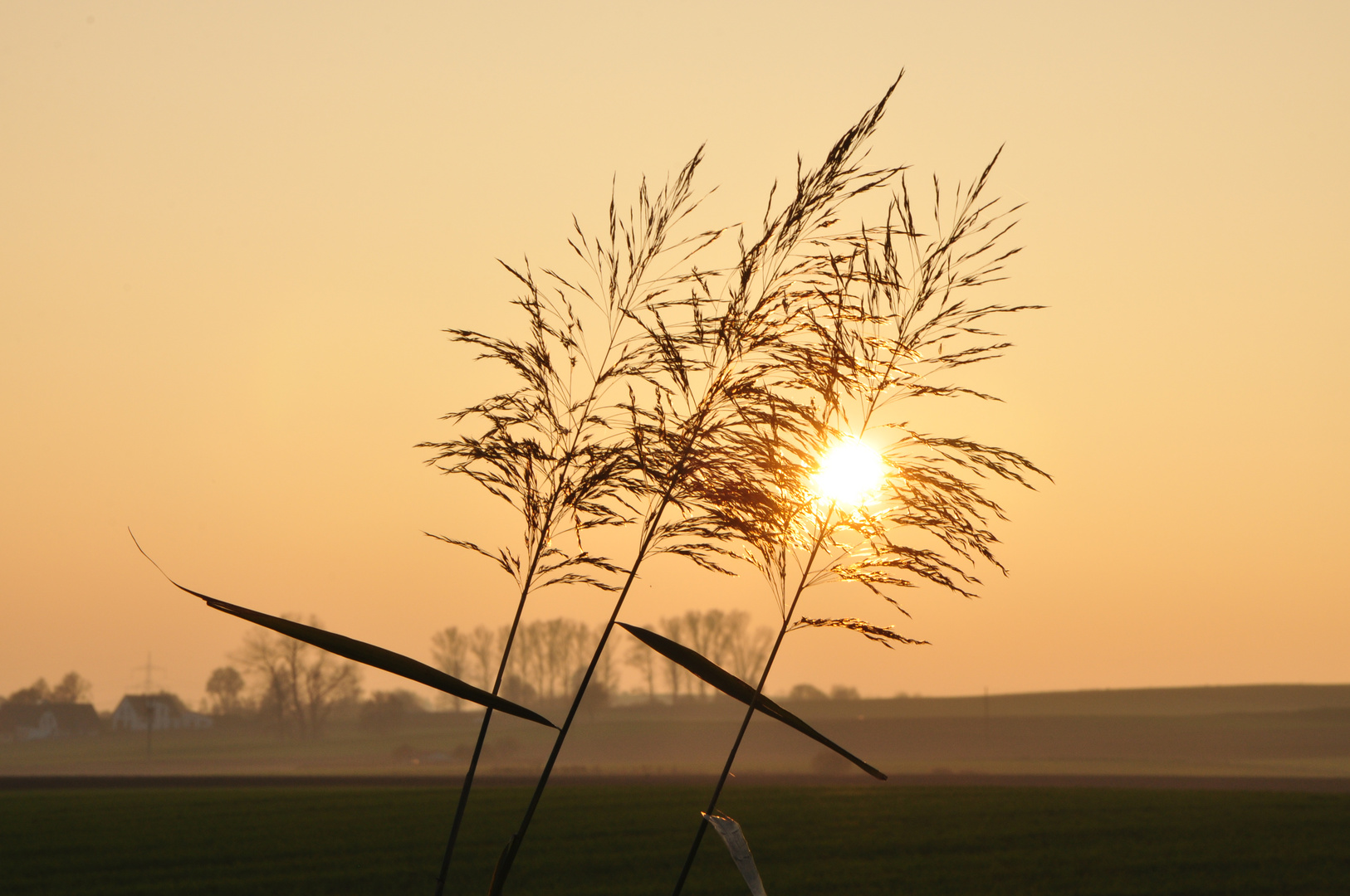 Herbstsonne