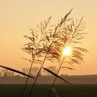 Herbstsonne