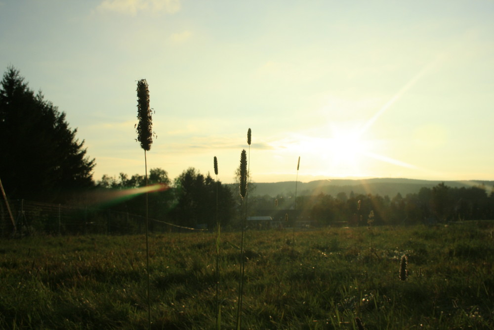 Herbstsonne