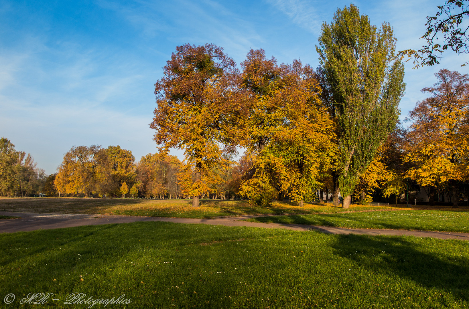 Herbstsonne . . .