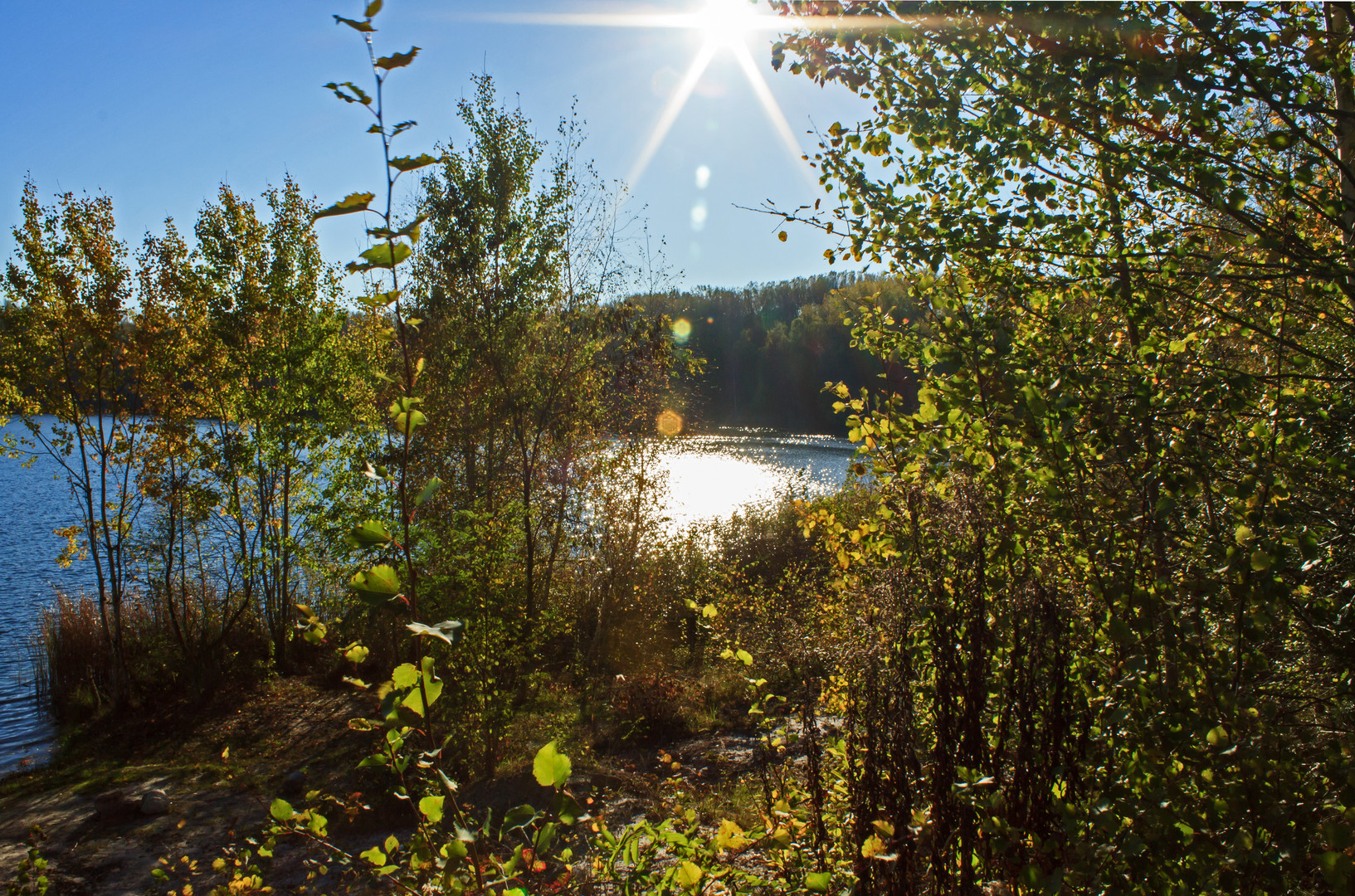 Herbstsonne