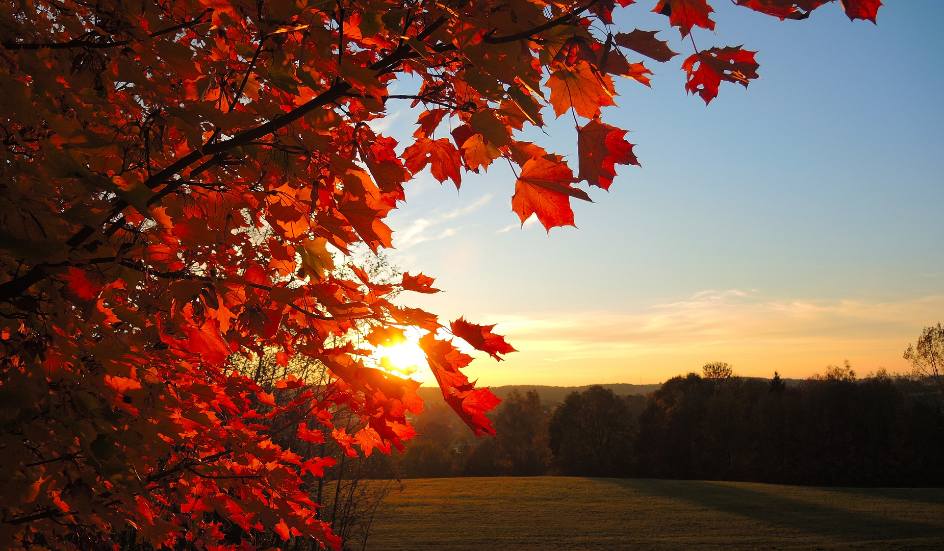 Herbstsonne