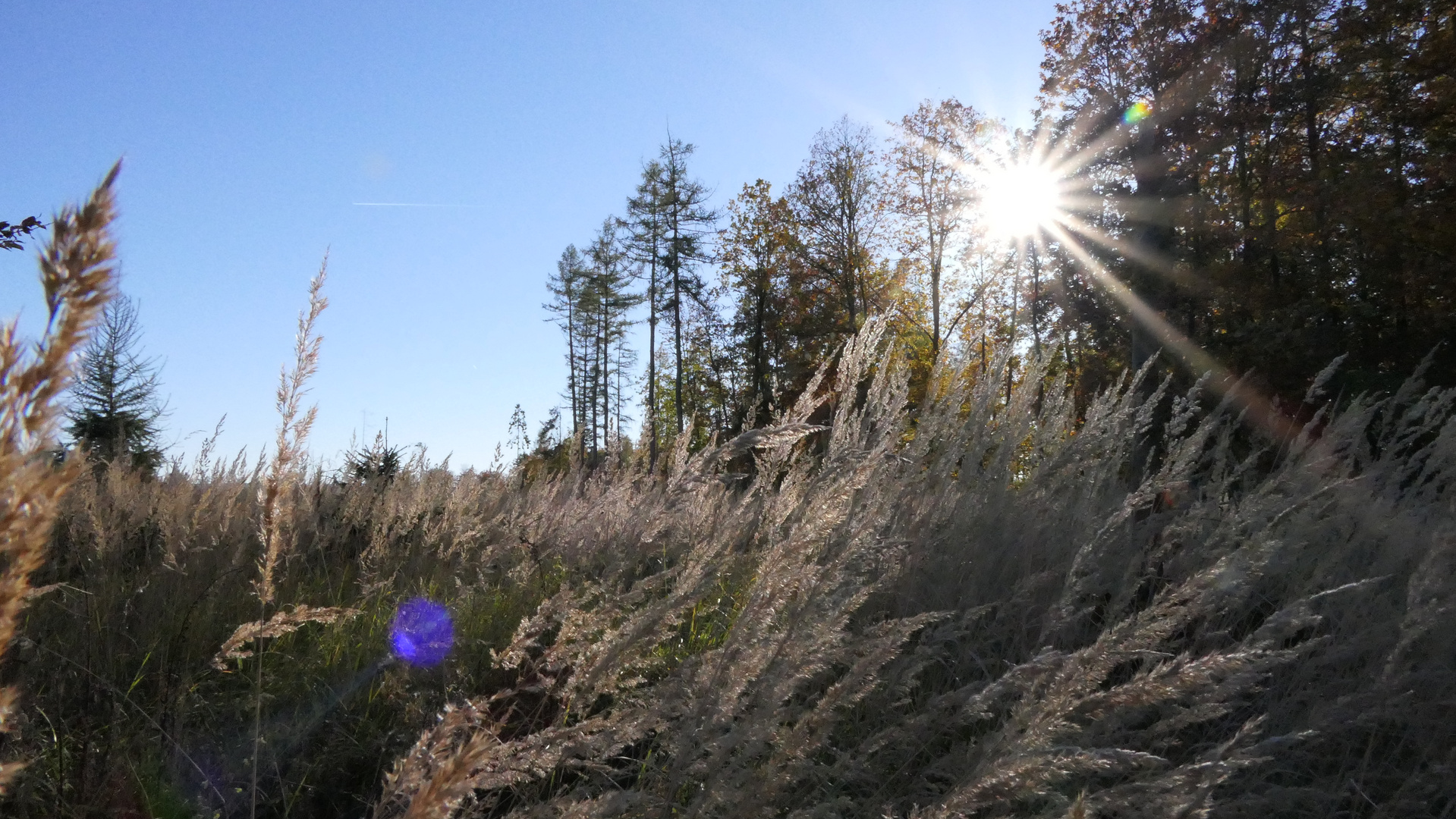 Herbstsonne