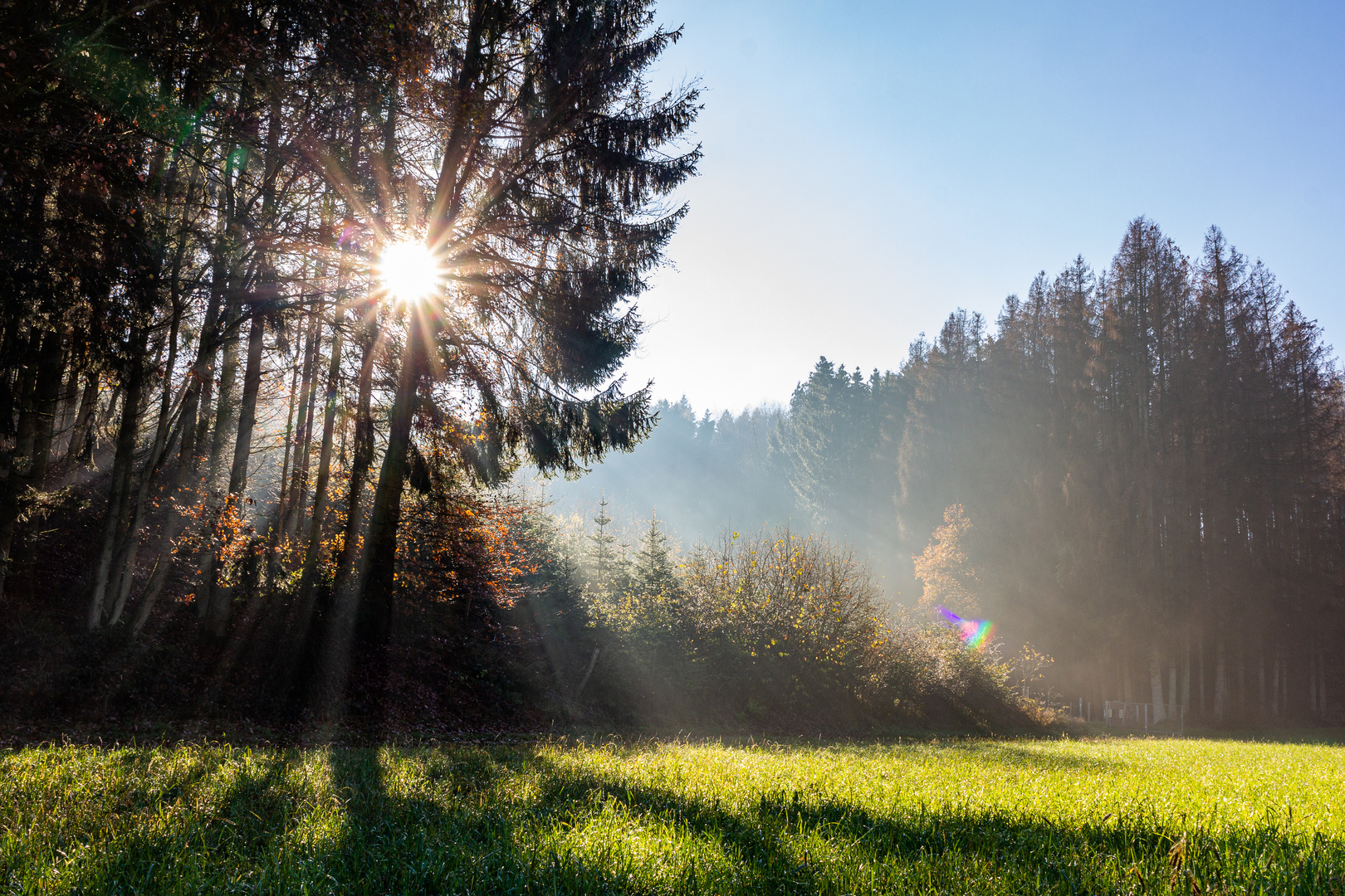 Herbstsonne