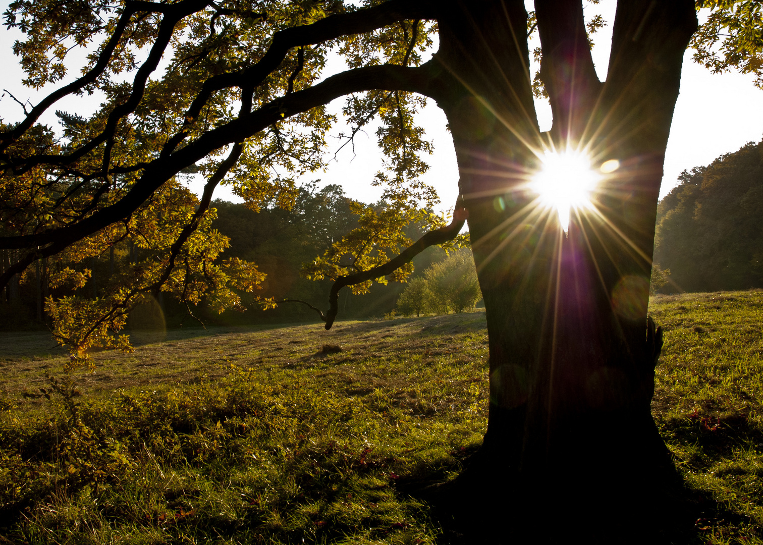 Herbstsonne