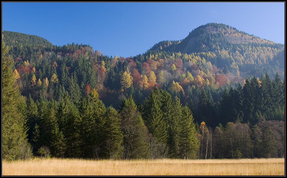 herbstsonne