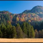 herbstsonne